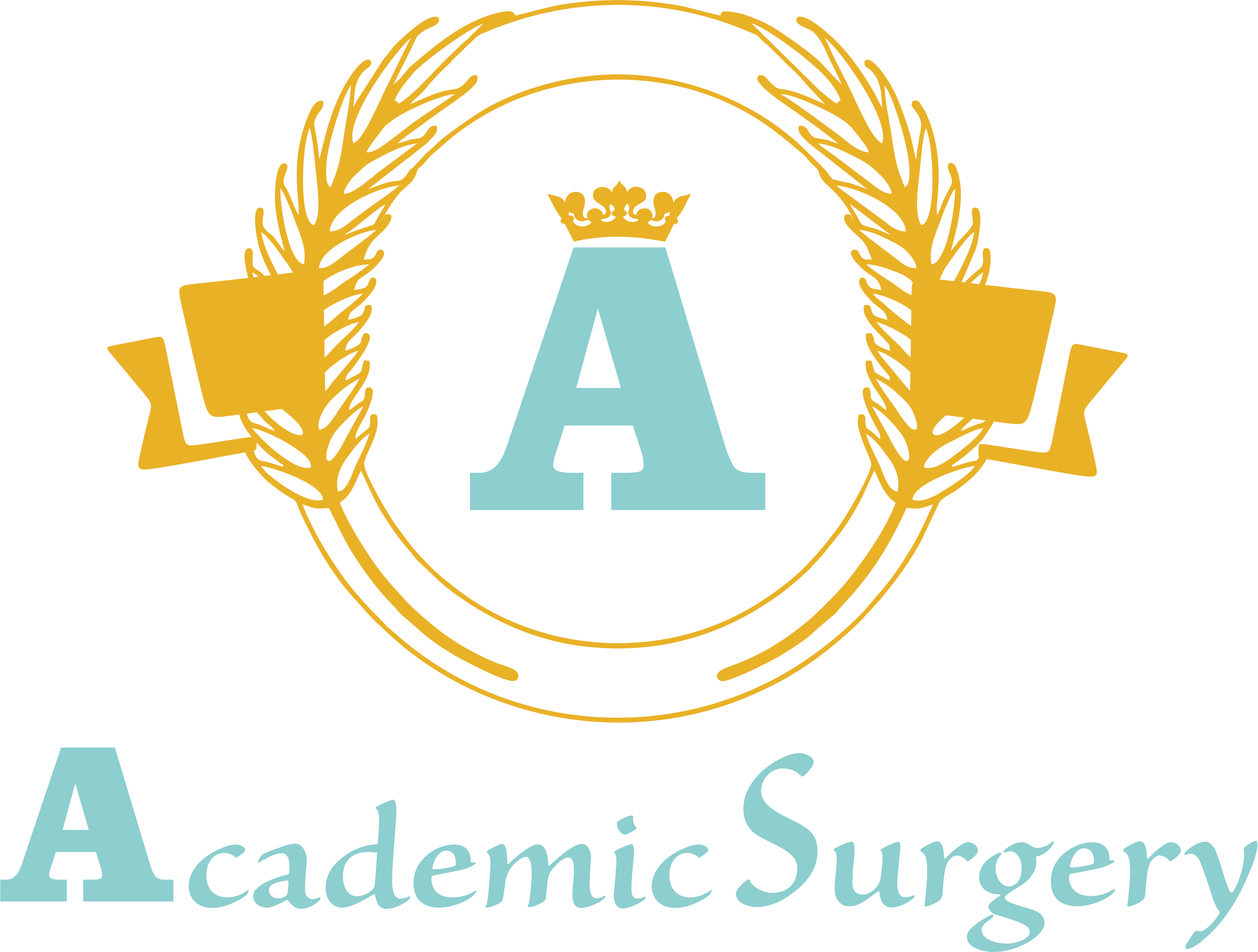 Academic Surgery